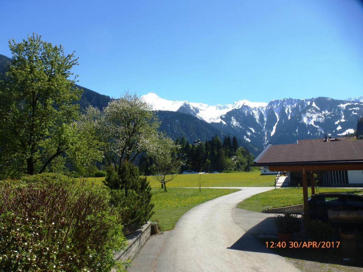 Appartement Gredler Martina Mayrhofen Exteriör bild